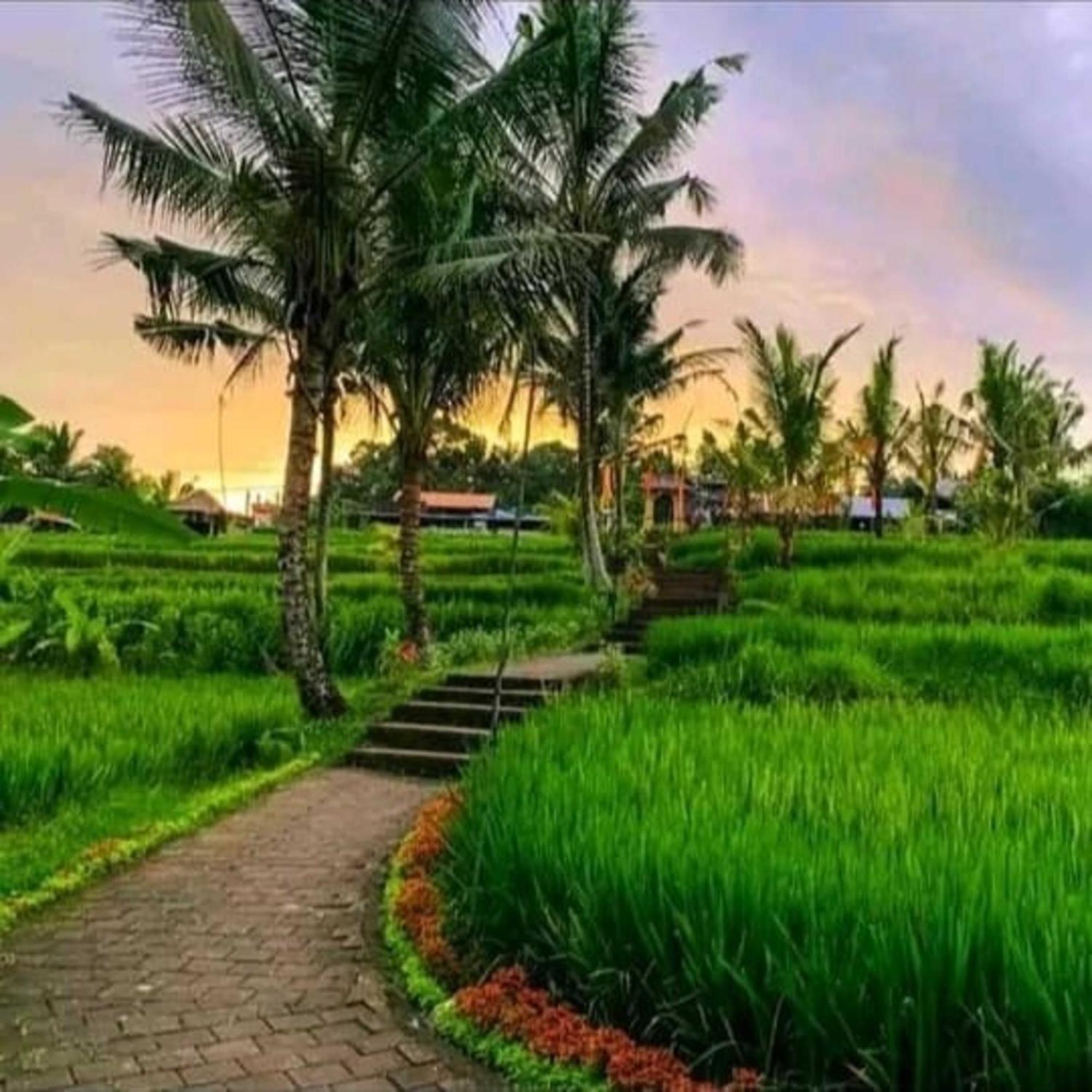 Pondok Kungkang Villa 2 Ubud Exterior foto